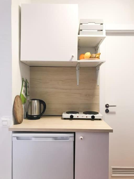 De Ziutek Apartment *